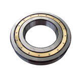 Single Row Cylindrical Roller Bearing